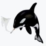 Profilbild von Ashed Orca