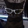 .'s profile picture
