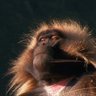 dynamic.τao's profile picture