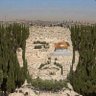 المعتصم بالله 的头像