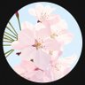 Фото профиля 🌸ふじさくら🌸