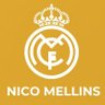 Фото профиля Nico Mellins