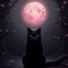 Diana Lee's profile picture