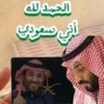 سعد بن حجرالسليطي 的头像