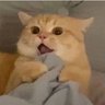 J profil fotoğrafı