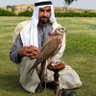 علي صفاء الغامدي's profile picture