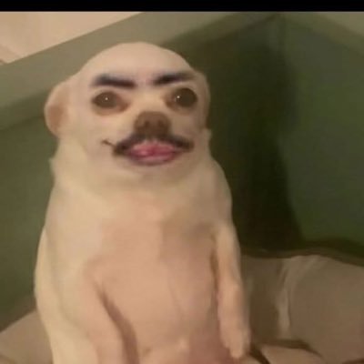 NwChiwa's profile picture