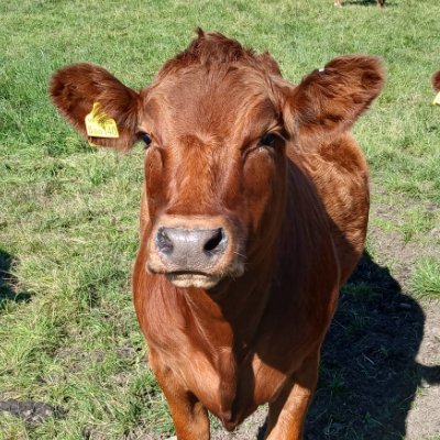 Trina's profile picture
