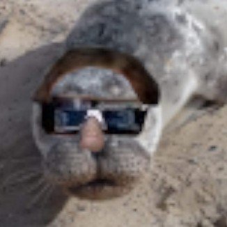 busiolover's profile picture
