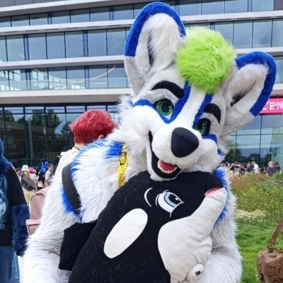 Whaler-Ace 🇳🇱 Shot the 🎲🦊's profile picture