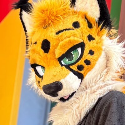 $URI 🐱's profile picture