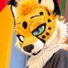 suri 🔜MP's profile picture