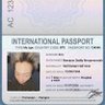 ✮⋆˙ Visa⁷ (Namjoon's Lost Passport)'s profile picture