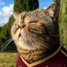 HvK_Oasis ๐'s profile picture
