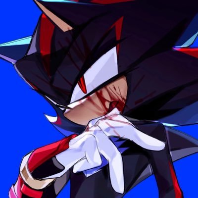 dan's profile picture