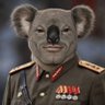 Koala profil fotoğrafı