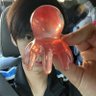 𝗸𝗮𝘆 🕷️ profil fotoğrafı