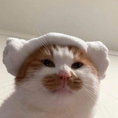 korn25E's profile picture