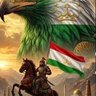Фото профиля Amir AMIROV