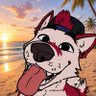 Profilbild von Squip 🐾