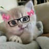Sude's profile picture