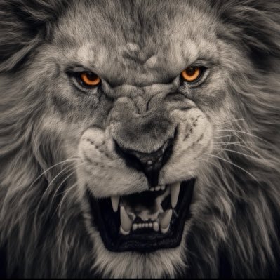 Jimmy's profile picture