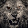 Jimmy's profile picture