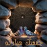 منير الهروجي 的头像