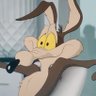 Profilbild von jmej 🐀 watch coyote vs acme!