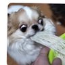 サウス(凍結された10人ヌキ)'s profile picture