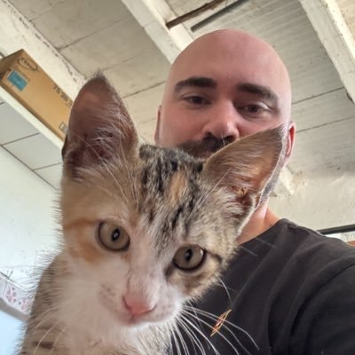 Paolo Leroy's profile picture