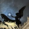 Moon Prince 🌔's profile picture