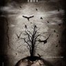 Фото профиля 🕸️ خاطر 🕸️
