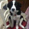 glimby's profile picture