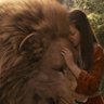 Aslan 🦁's profile picture