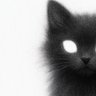 Cat (May 35)'s profile picture