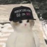 gabimaru's profile picture