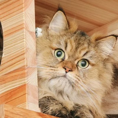 ゆうや's profile picture