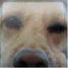 Nate's profile picture
