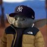 Profilbild von tommy
