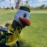 Фото профиля howietheduck