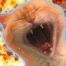bi-carbogato de ódio's profile picture