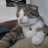 Cooper profil fotoğrafı