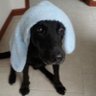 Paula. A Gaviria profil fotoğrafı