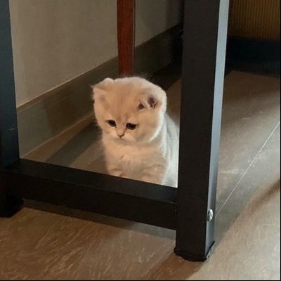 garrulousuh's profile picture