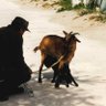 glaive profil fotoğrafı