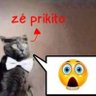 bolofofo ๐ณ๐ฑ profil fotoฤrafฤฑ