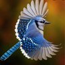 BlueJay's profile picture