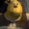 sorrywrongnumber's profile picture