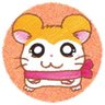 Profilbild von まめとつむと
